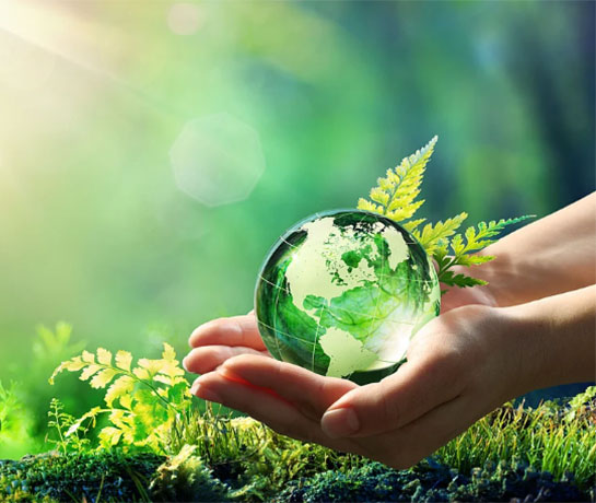 Creating Happy Environment